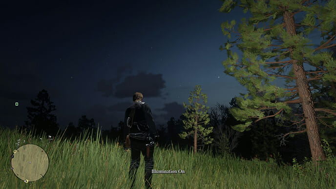 Illumination Mod RDR2.jpg