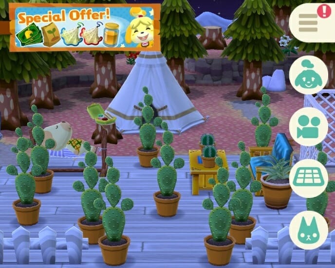 ac_dia_cacti.jpg