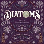 Algae Becomes Art in the Board Game Diatoms